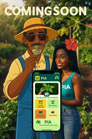 P.I.A. Plant Intelligence app identifies plants in the Bahamas and their medicinal properties 