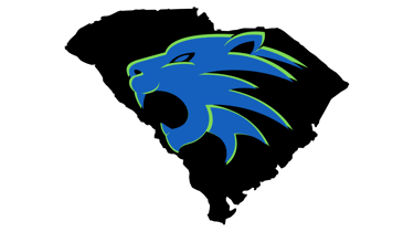 Graniteville Wildcats Basketball logo
