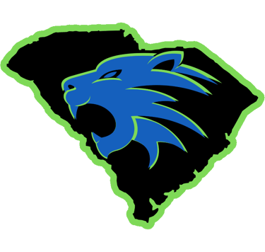 Graniteville Wildcats Basketball logo