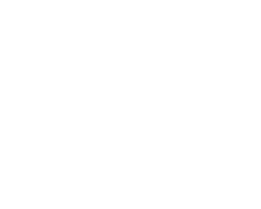 Wizard Racing Romania logo
