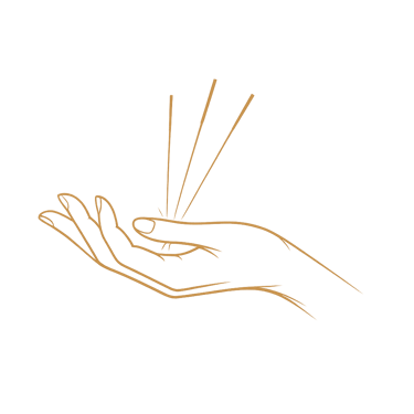 Taís de Paula - Medicina da Dor e Acupuntura logo