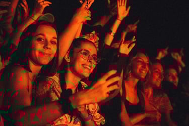 VYV Festival / Public