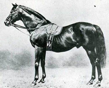 galopin