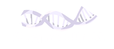 Finance DNA logo