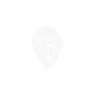 Blackcaps Experience logo