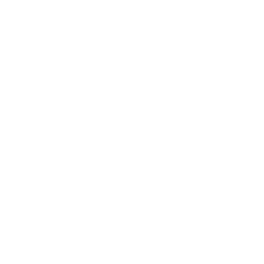 Muse studio logo