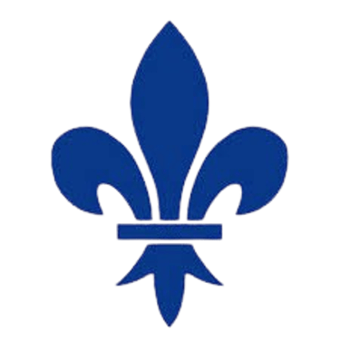 Agence Saint louis logo