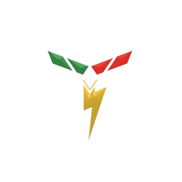 TopVybz logo