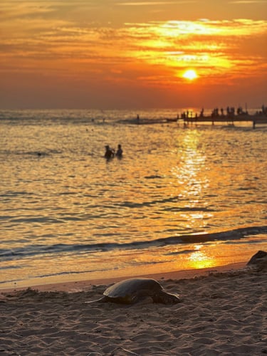 Tramonto alle Hawaii