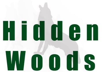 hidden woods art logo