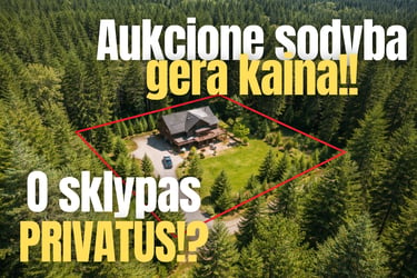 nt brokeris vilniuje aukcionas