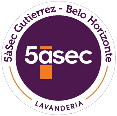 Maior Rede de Lavanderias do Mundo!  5àSec Gutierrez ao seu dispor. logo