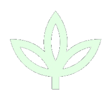 M.E.D. Distributions logo