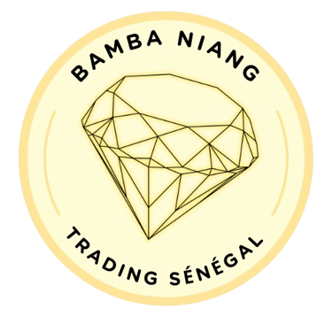 Bamba Niang Trading logo