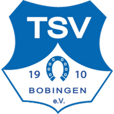 TSV Bobingen Handball logo