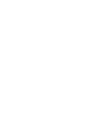 Frantjeskos Custom Painting logo