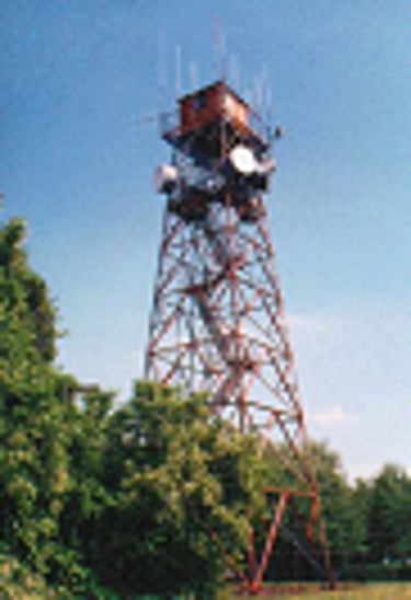 Brandywine Tower Service logo