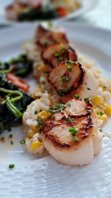 Sea Scallops