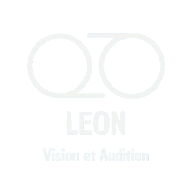 Leon-vision logo