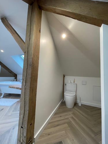 toilettes combles