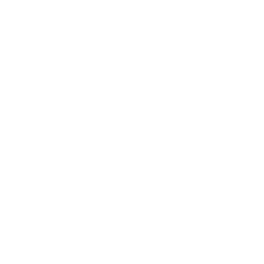 Fusion Force Mechanics logo