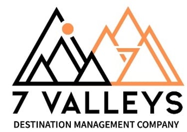 DMC Lalusar logo