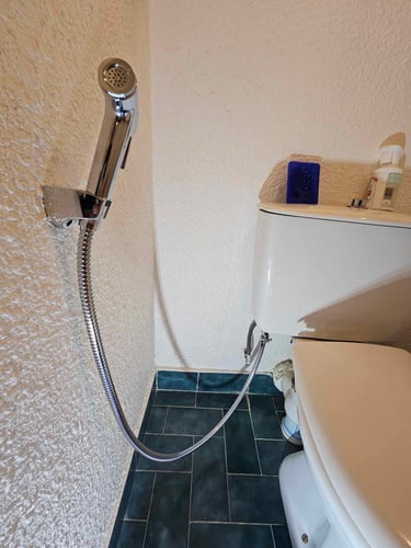 douchette pour WC