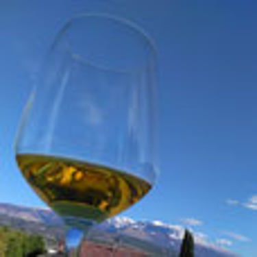 Vino bianco