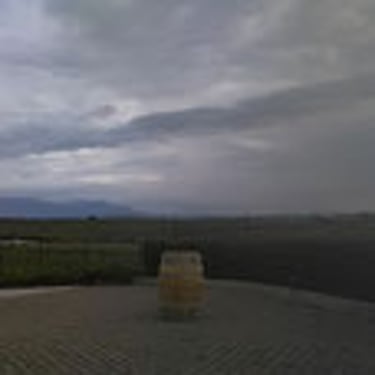 filari d'uva