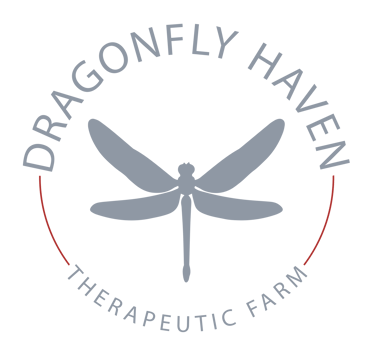 Dragonfly Haven Therapeutic Farm logo
