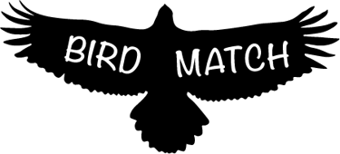 BirdMatch logo