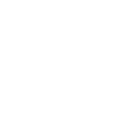 Creative Touch  logo