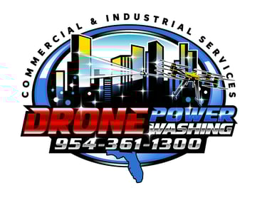 DRONE POWER WASHING logo
