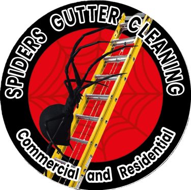 Window Cleaning Forever Shine logo