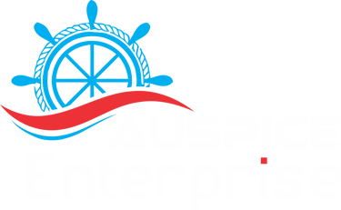Auspice Enterprise logo