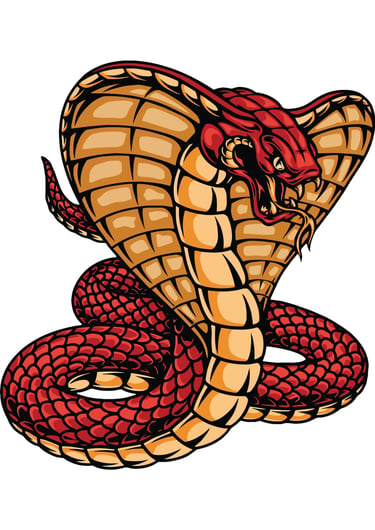 InfinityCocra logo