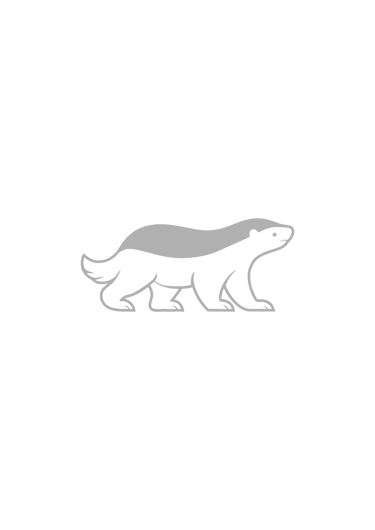 Philippian Badger logo