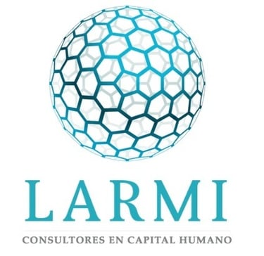 LARMI  Consultores logo