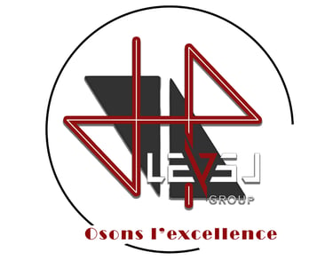 LEVEL GROUP sarlu logo