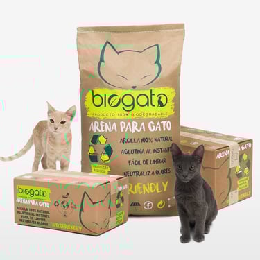 Cats with litter bag and boxes