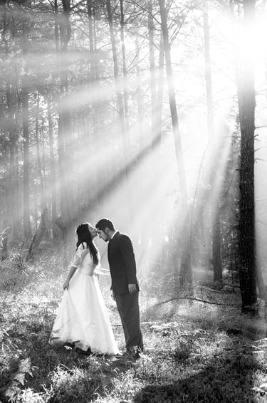 Pareja de novios en blanco y negro