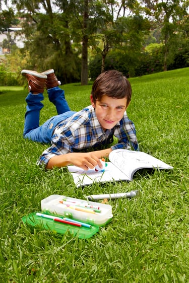 Niño colorendo en pasto