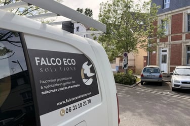 Mission de capture par Falco Eco Solutions en ville dans le département de l'Eure-et-Loir 