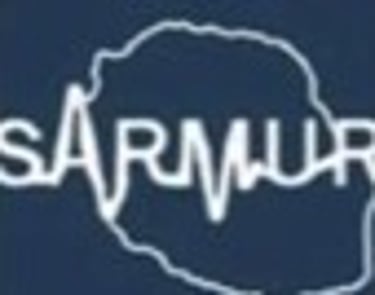 Sarmur logo