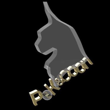 Pok&Coon, Chatterie Maine Coon, Elevage chatterie Maine Coon, PokandCoon, PoknCoon's, logo