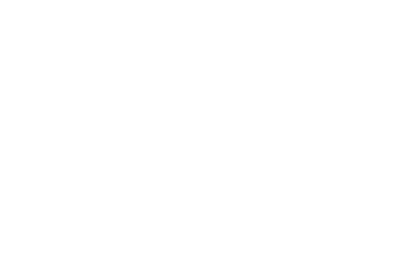 EMERGA logo