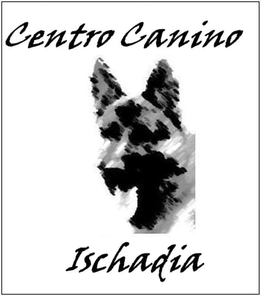 Ischadia logo