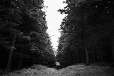 Somewhere North - Music Photoshoot - Ireland, 2024_007