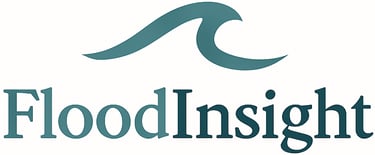FloodInsight logo