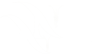 nirosvision logo